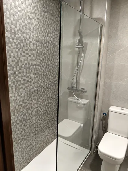 Ducha con mampara de cristal y pared de mosaico gris junto al inodoro